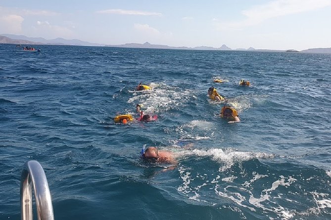1- day Komodo Island Hopping Tour by Speed Boat departure From Labuan bajo - Padar Island: the day’s first big climb