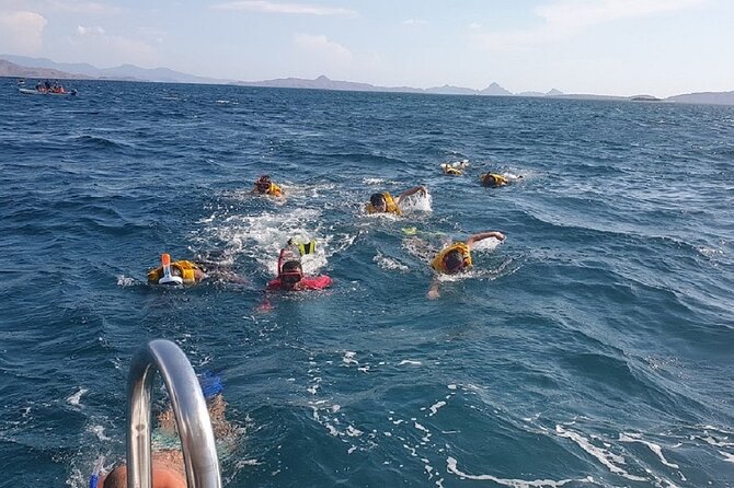 1- day Komodo Island Hopping Tour by Speed Boat departure From Labuan bajo - Manta Point and the day’s best wildlife possibility