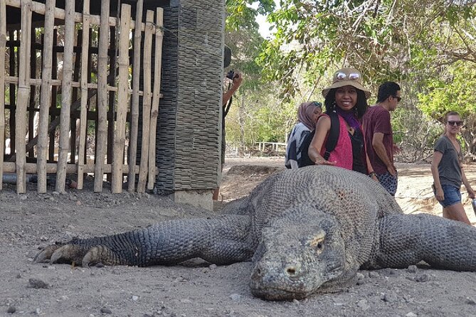 1- day Komodo Island Hopping Tour by Speed Boat departure From Labuan bajo - Lunch, drinks, and what the $117 price really covers