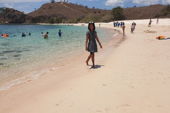 1- day Komodo Island Hopping Tour by Speed Boat departure From Labuan bajo - Komodo Island and the chance to see dragons