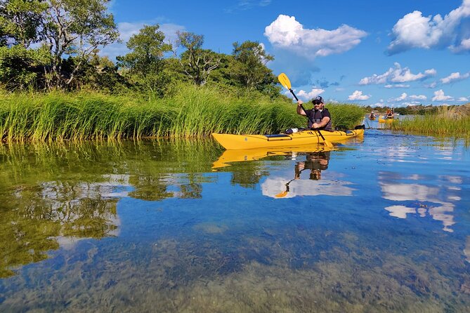 1-Day Small-Group Stockholm Archipelago Kayak Tour - Price, group size, and what you receive