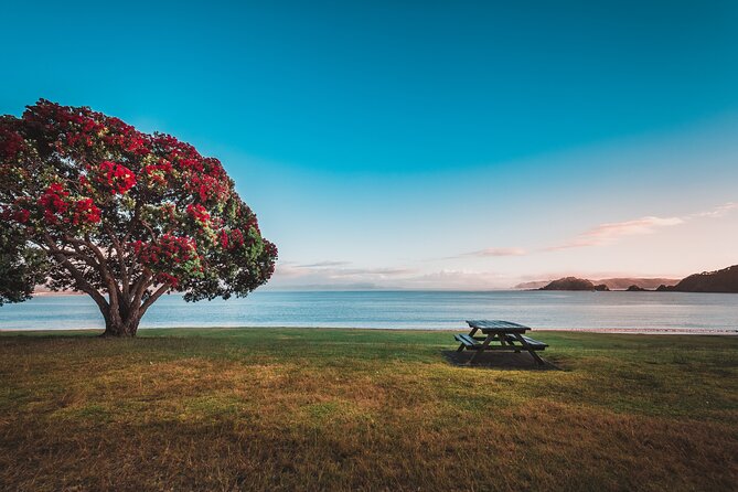 1 Hour Scenic Bay of Islands Tour - Mount Bledisloe Lookout and the Waitangi views