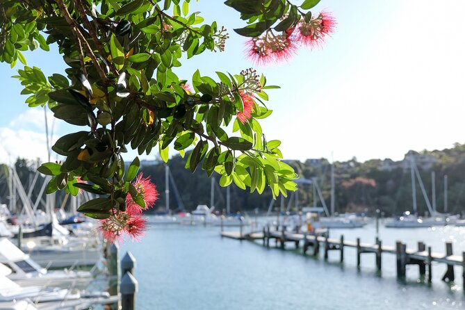 1 Hour Scenic Bay of Islands Tour - Opua, where the bay begins with boats