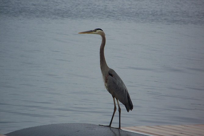 1000 Islands Sunset Cruise from Clayton, NY - Wellesley Island State Park and the island channels