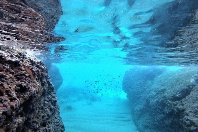 2 hours Elafiti Islands Private Tour by Barracuda 545 - Is $376.88 good value for four people?