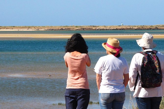2 Stop | 2 Islands & Ria Formosa Natural Park - From Faro - Birdlife and the changing tides