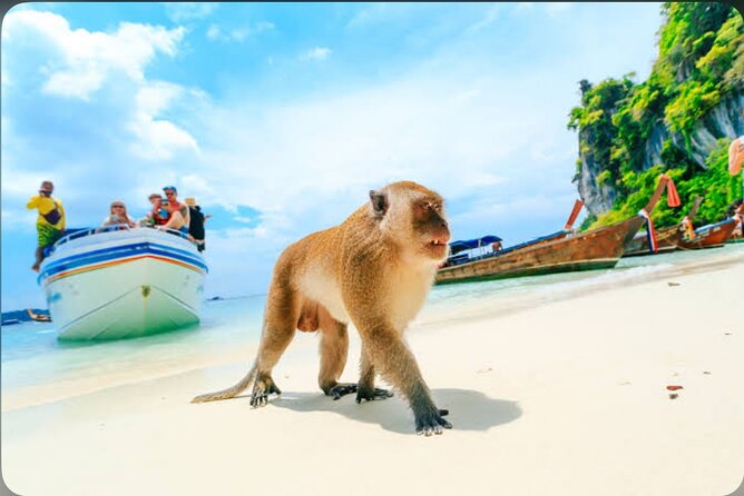 2x Snorkelling Phi Phi, Maiton, Maya Bay, khai islands tour - Monkey Beach and Viking Cave from the water