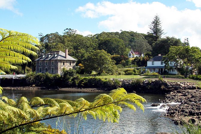 3-Day Bay of Islands Tour from Auckland - Puketi Kauri Forest: a short walk beneath giant trees