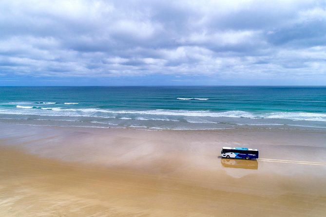 3-Day Bay of Islands Tour from Auckland - Ninety Mile Beach: the day’s most unusual road