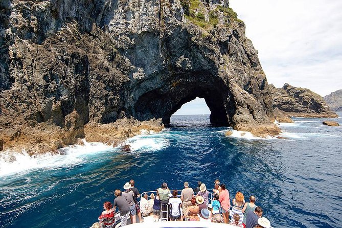 3 Day Bay Of Islands Tour from Auckland including Waitangi and Cape Reinga - What this three-day Northland trip really includes