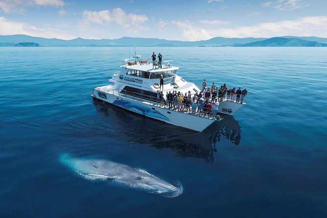 3 Day Bay Of Islands Tour from Auckland including Waitangi and Cape Reinga - Day three: a Bay of Islands cruise toward Cape Brett
