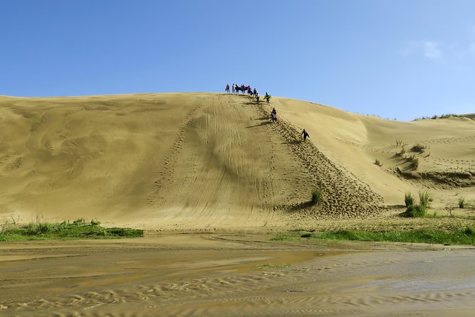 3 Day Bay Of Islands Tour from Auckland including Waitangi and Cape Reinga - Who will enjoy this tour most?