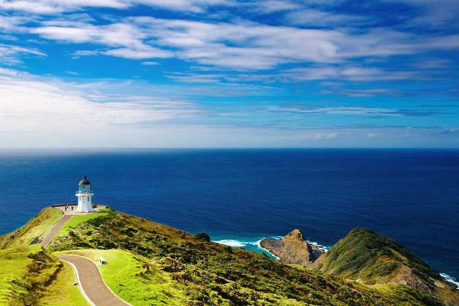 3-Day Bay of Islands Tour from Auckland - The Hole in the Rock cruise and the Bay of Islands