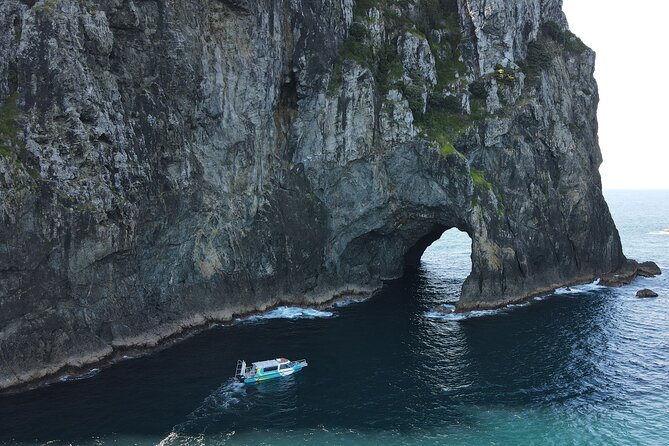 3 Hours // Hole in the Rock Cruise & Bay of Islands Tour - Key Points to Know Before You Book