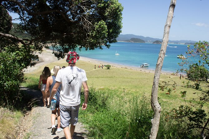 3 Hours // Hole in the Rock Cruise & Bay of Islands Tour - Price and What You Get for $89.98