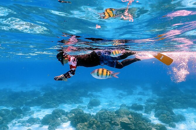 3-Island Speedboat Tour: Racha Noi, Racha Yai & Maiton - Banana Bay and the best snorkeling window