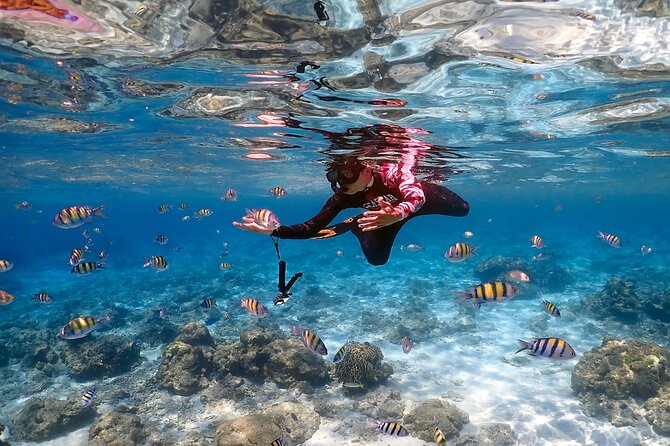 3-Island Speedboat Tour: Racha Noi, Racha Yai & Maiton - Maiton Island and the final sea views