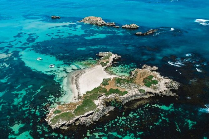 3 Island Wildlife Snorkel - Why Shoalwater works for a short wildlife trip