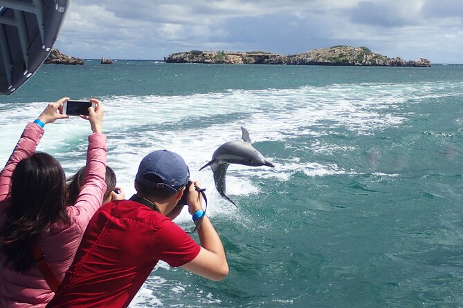 3 Island Wildlife Snorkel - Limestone reefs and life below the surface