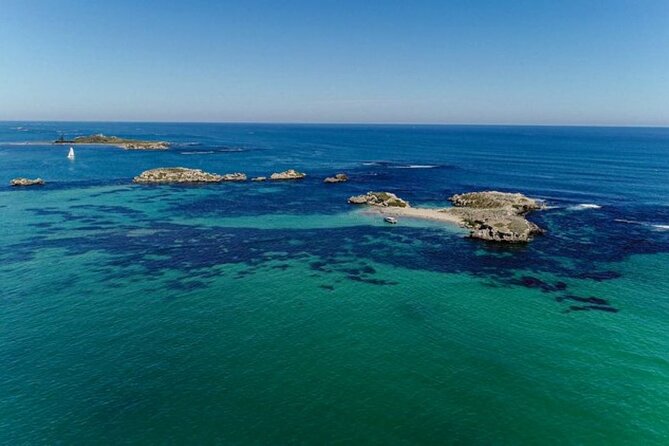 3 Island Wildlife Snorkel - Meeting at 153 Arcadia Drive in Shoalwater