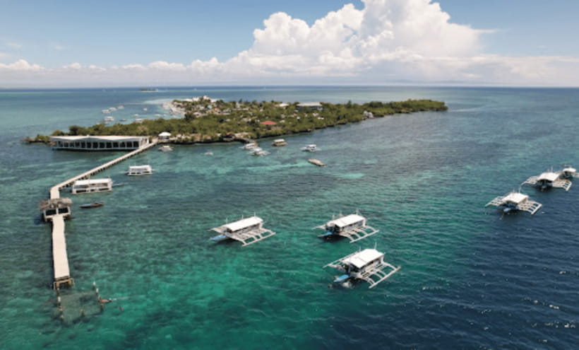 3 Islands Hopping at Gilutungan, Caohagan, Nalusuan + Lunch - Gilutungan Island: the main snorkeling draw
