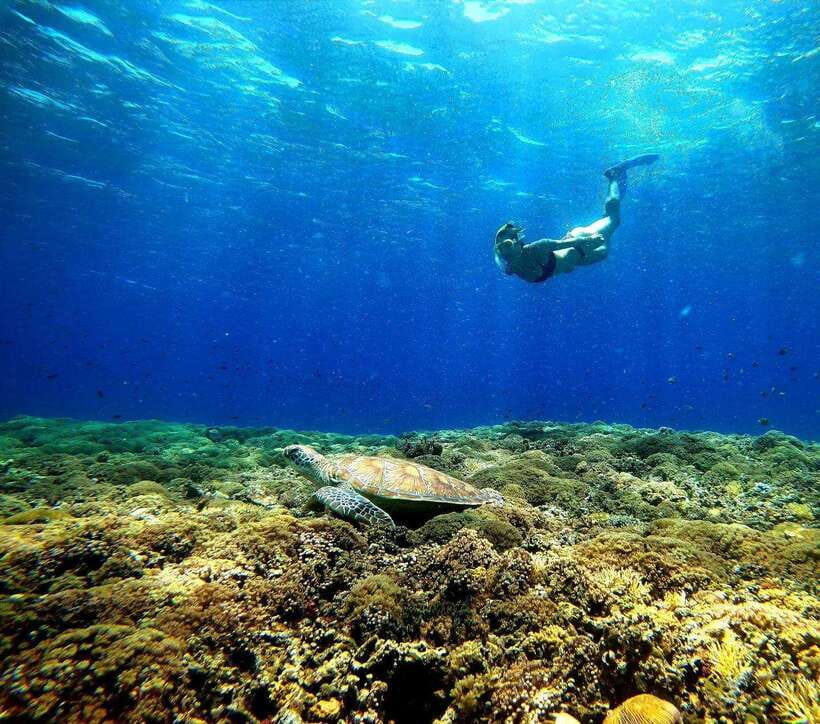 3 islands snorkeling & turtle sanctuary Gopro included - Key points to know before booking