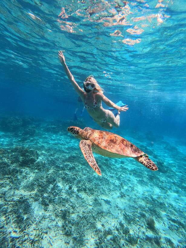 3 islands snorkeling & turtle sanctuary Gopro included - What this $16 tour is really offering