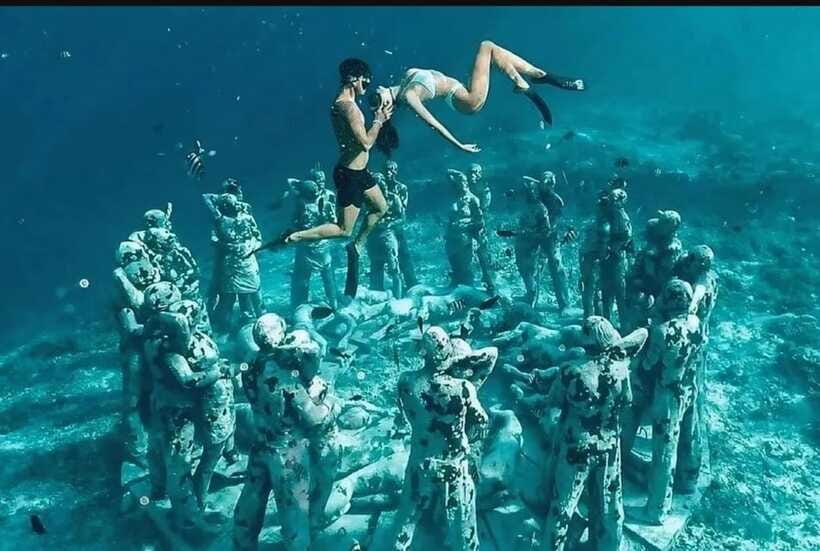 3 islands snorkeling & turtle sanctuary Gopro included - Gili Air: garden fish and a short lunch break
