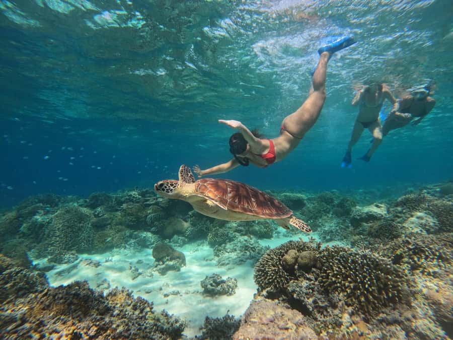 3 Islands Snorkeling with Glass Bottom Boat & GOPRO SHOOT - Key points to know before you book