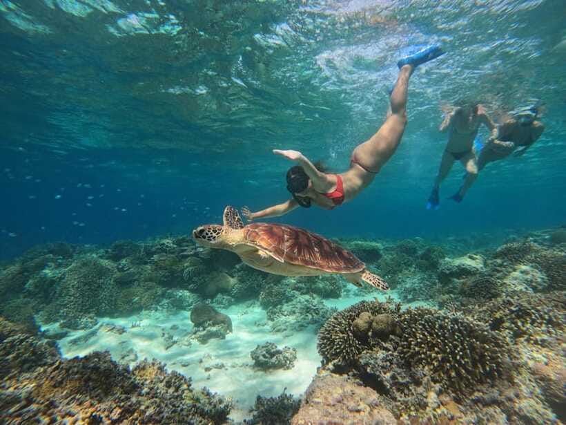 3 Islands Snorkeling with Glass Bottom Boat & GOPRO SHOOT - Lunch and the practical rhythm of the trip