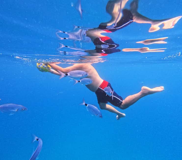 3 Islands Speedboat Tour: Golden Horn, Blue Lagoon & Jelsa - Zečevo Island offers the quieter swim