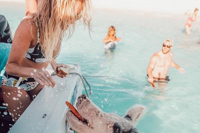 3 Islands Tour, Swim with Pigs, Turtles, Snorkelling & lunch - Lunch, drinks, and the floating stop