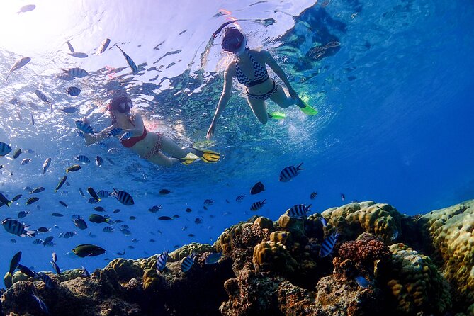 3 Semporna Islands Tour with Snorkel or Diving Experience - Leaving Semporna by speedboat