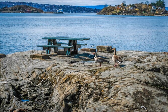 4 Hours Island Hopping Tour in Oslo - The ferry to Lindøya and a slower island rhythm