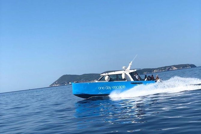 4-Island Split Boat Tour (Brač, Pakleni, Hvar, Šolta) - Šolta: a quiet final swim