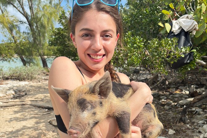 4-Island Tour Swimming Pigs, turtles, snorkeling , rose island, - A compact Nassau adventure with three island settings