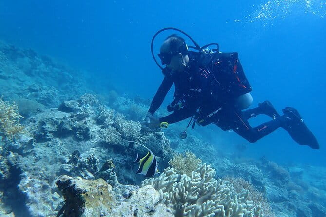 4 Islands & 2 Reefs - Discovery Snorkeling & Relaxing (MAX 12) - Two reefs, with the marine life as the main event