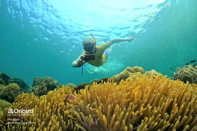 4 Islands & 2 Reefs - Discovery Snorkeling & Relaxing (MAX 12) - What the $52.04 price really covers