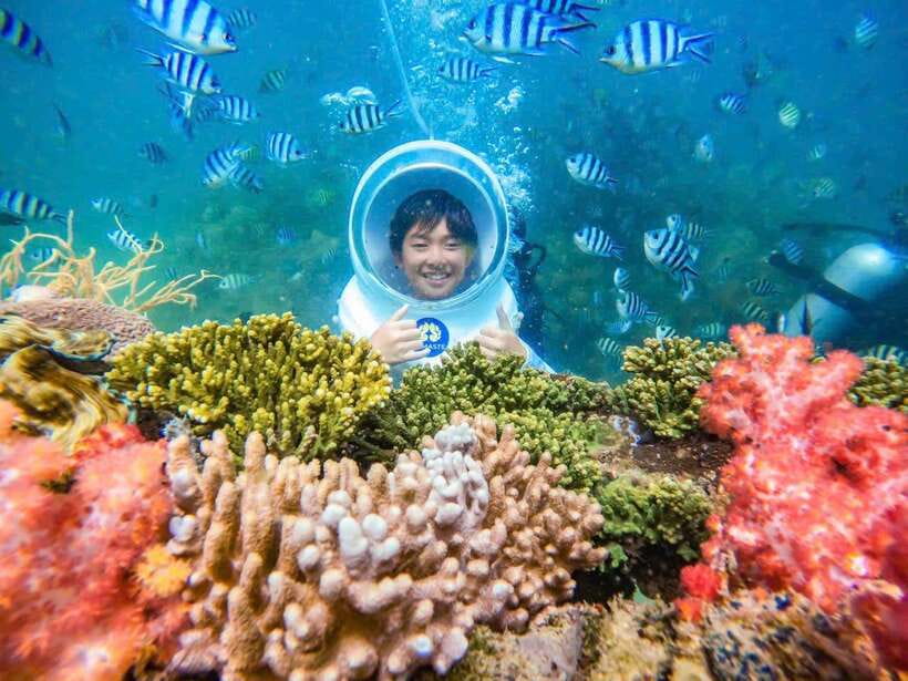 4 Islands Trip in The Southern Part of Phu Quoc - Gam Ghi Island and the coral reefs