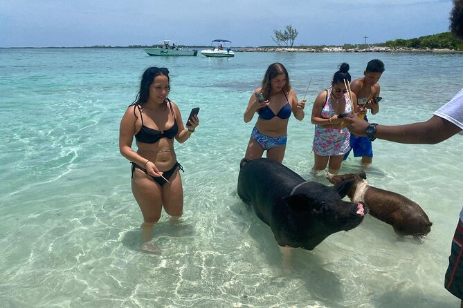 4hr Private Tour Island Hop Snorkel w/ Turtles & Sip Bahama Mamas - Sandy Cay, the island known as Gilligan’s Island