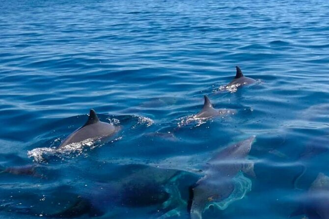 5 island tour all inclusive with Ile aux cerfs and snorkeling - A fast-moving morning from Trou d’Eau Douce