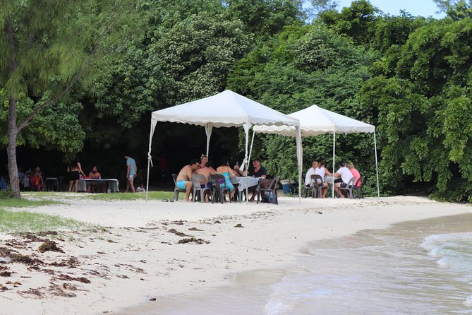 5 island tour all inclusive with Ile aux cerfs and snorkeling - Who will enjoy this trip most?