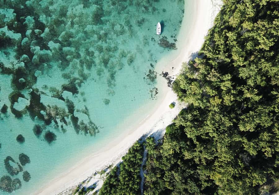 5 Islands Boat Trip, Snorkeling and Lunch on Ile aux Cerfs - The essential details at a glance
