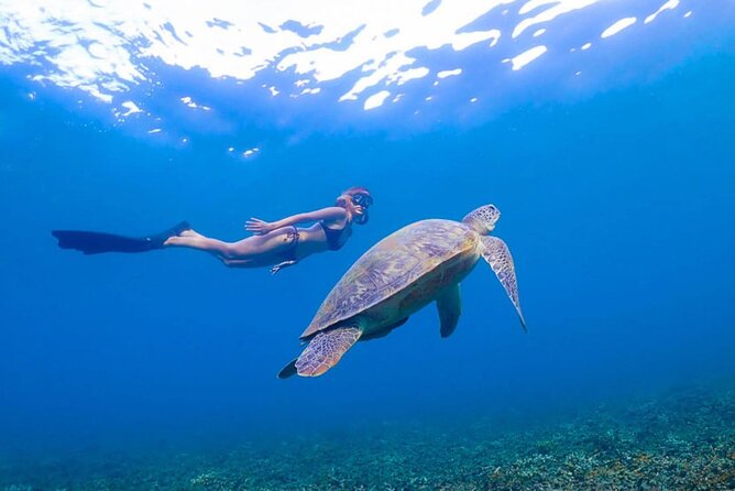 5 Islands Full-Day Tour Around Koh Tao and Koh Nangyuan - Mango Bay and lunch on the boat