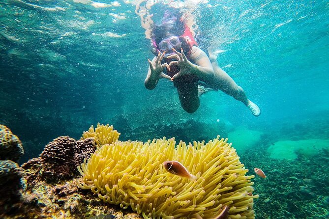 5 Islands Full-Day Tour Around Koh Tao and Koh Nangyuan - Hin Wong Bay and coral-covered pinnacles