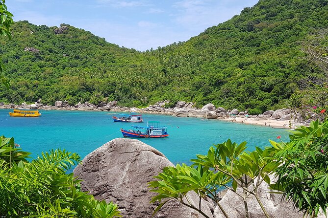 5 Islands Full-Day Tour Around Koh Tao and Koh Nangyuan - The guide service and underwater photos