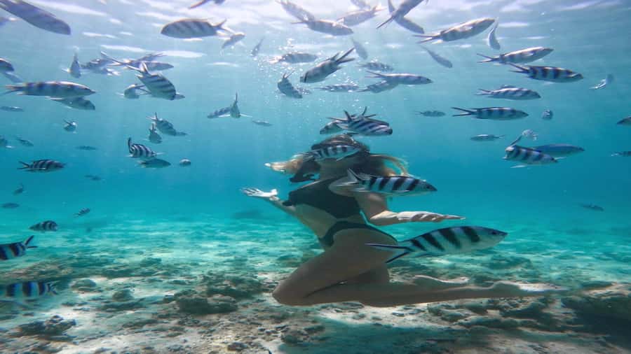 5 Islands Private Speedboat w/ Snorkeling + Lunch & Drinks - Grand River South East and the monkey stop