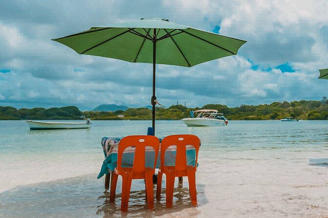 5 Islands Speedboat Cruise incl. Snorkeling in Blue Bay + Lunch at Ile aux Cerfs - Blue Bay Marine Park and the main water stop