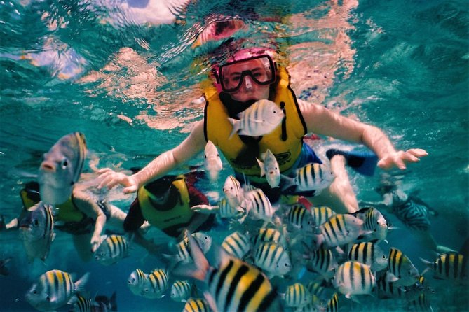 5 Islands Speedboat Cruise incl. Snorkeling in Blue Bay + Lunch at Ile aux Cerfs - What the $110.79 price really includes