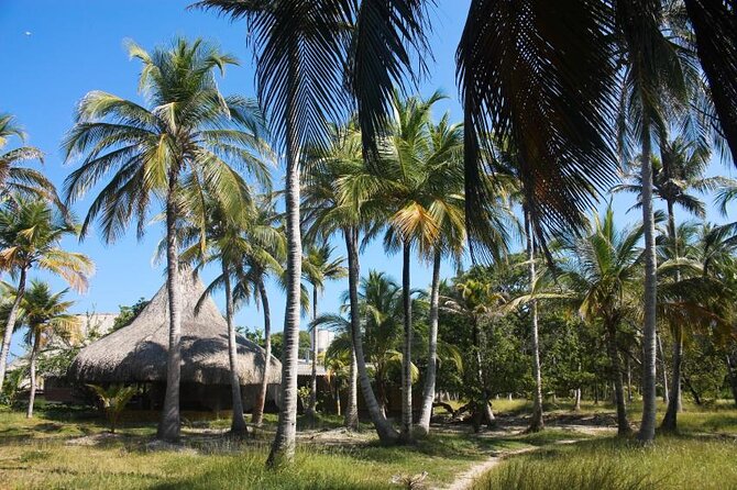 5 Islands Tour from Cartagena Including Snorkeling and Lunch - Key points to know before booking